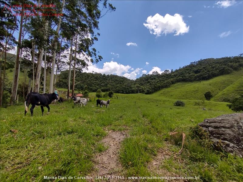 Sítio a Venda no Outros em Bocaina de Minas